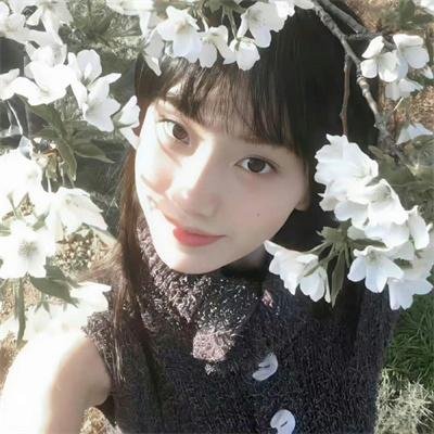 凤凰城故事